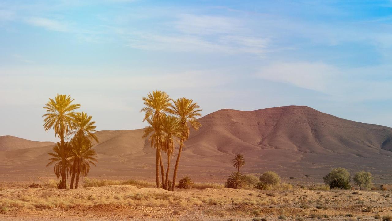 Merzouga Bohemian Camp Esterno foto